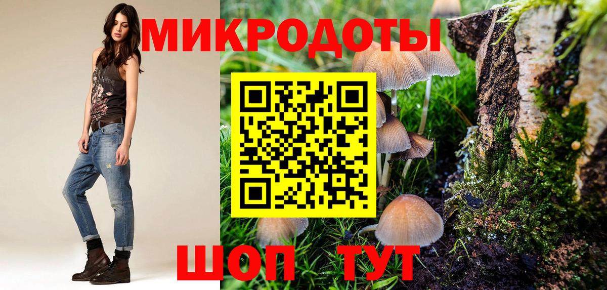 Псилоцибиновые грибы мицелий Кириши